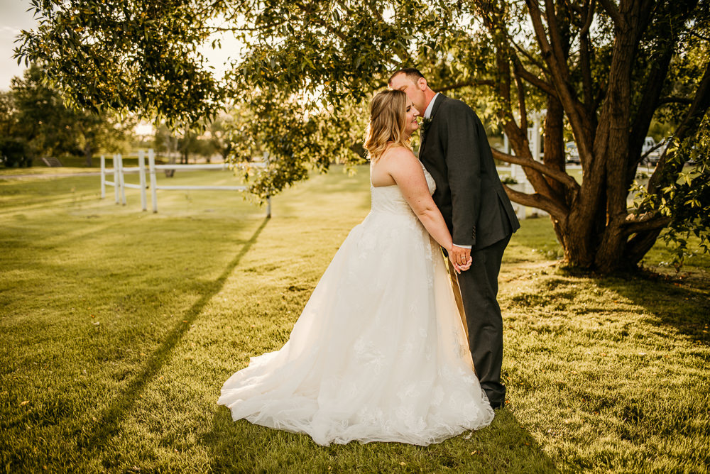 bride and groom under a tree at sunset